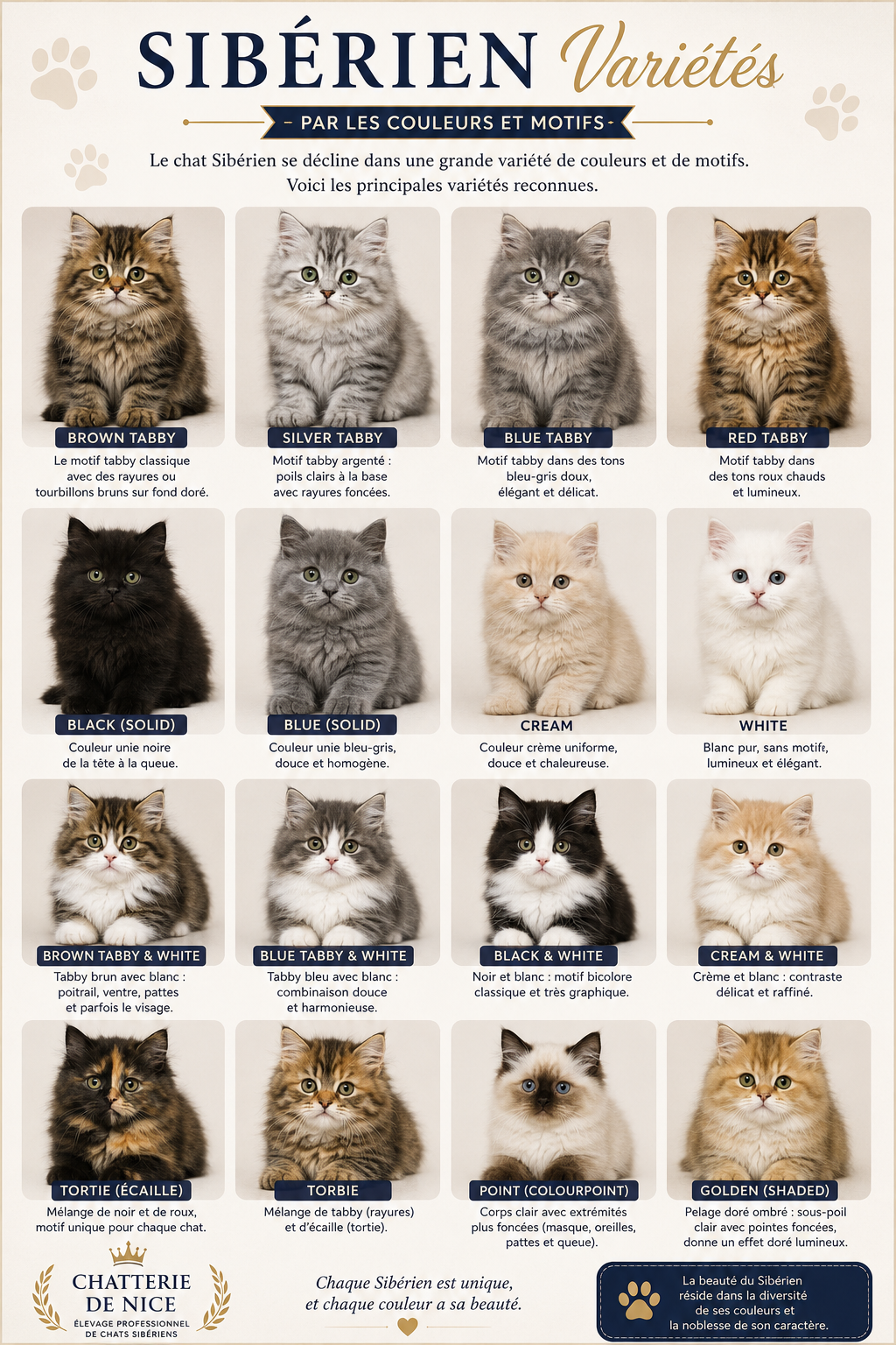 Couleurs et robes des Chats Sibériens de la Chatterie de Nice en France