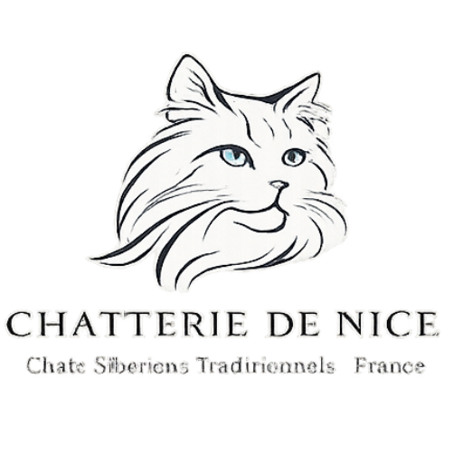 Chatterie de Nice - Élevage de Chats Sibériens Traditionnels en France