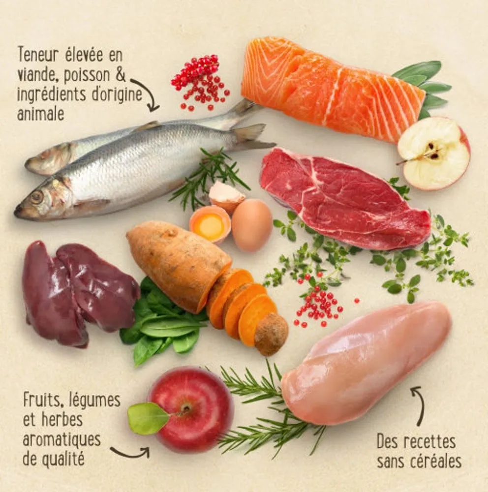 Ingrédients frais des croquettes sans céréales : poisson, viande, légumes et fruits