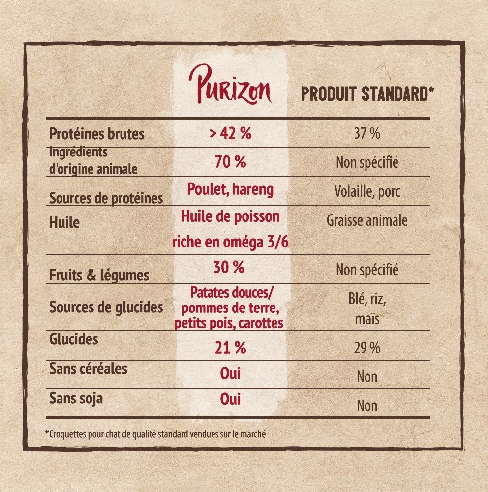 Alimentation du chaton Sibérien avec Purizon à la Chatterie de Nice