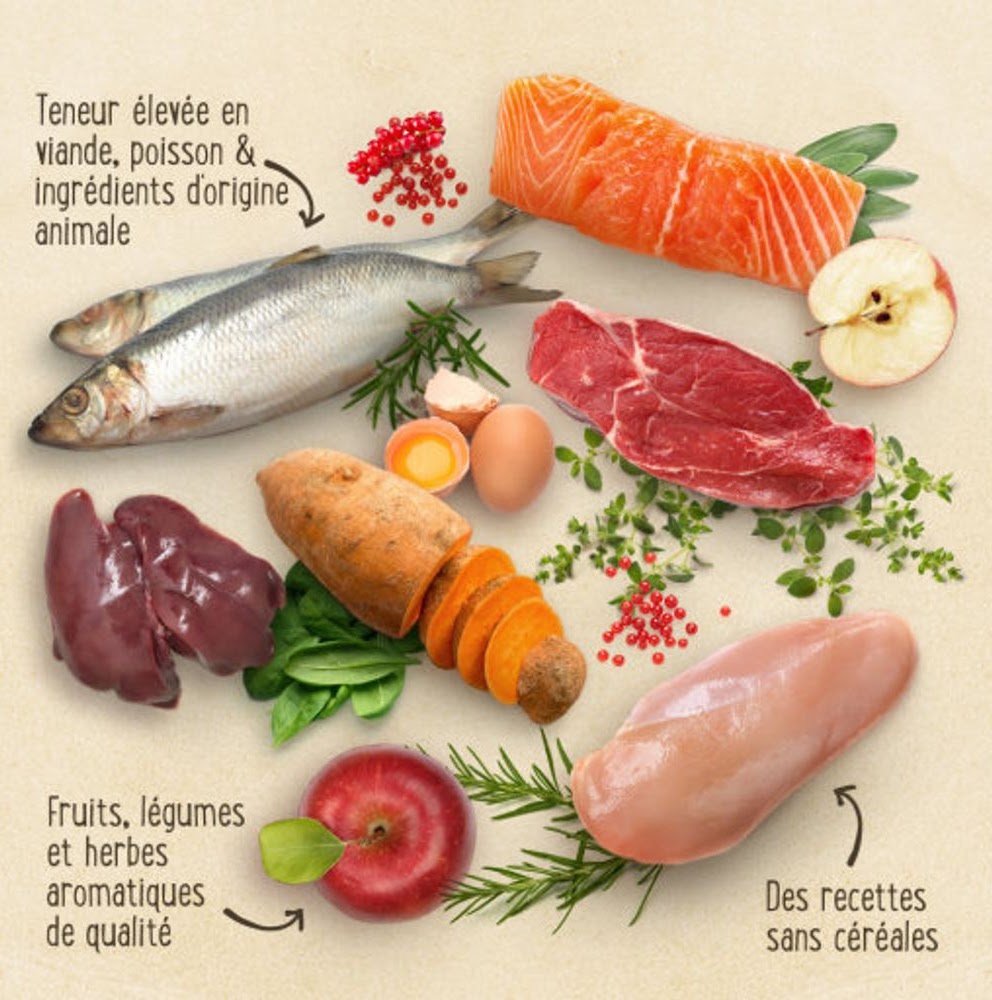 Croquettes sans céréales pour chaton Sibérien