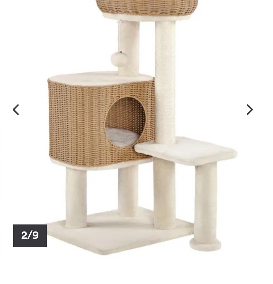 Arbre à chat pour sécuriser la nouvelle maison du chaton Sibérien